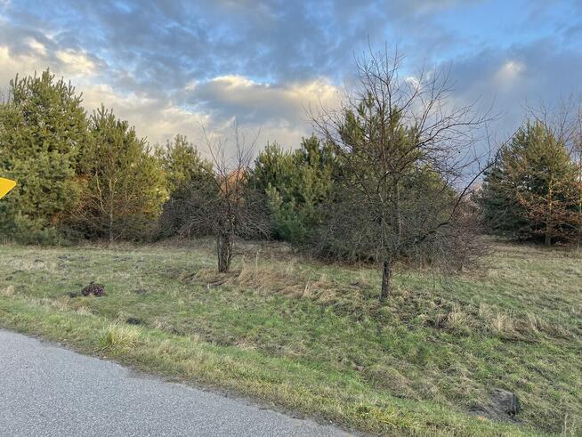 Działki w pobliżu wsi Wilga. Wieś Uśniaki.