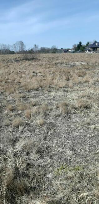 MODZEROWO-WŁOCŁAWEK-SIEDLISKOWA - 9914m2-ENERG