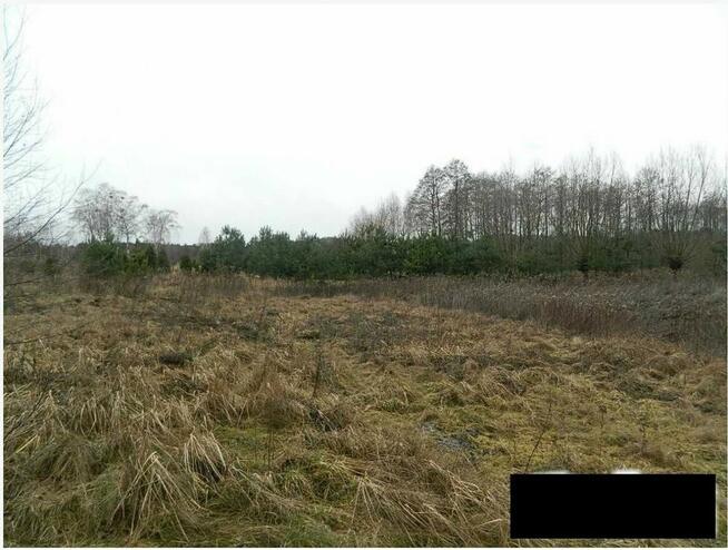 MODZEROWO-WŁOCŁAWEK-SIEDLISKOWA - 9914m2-ENERG