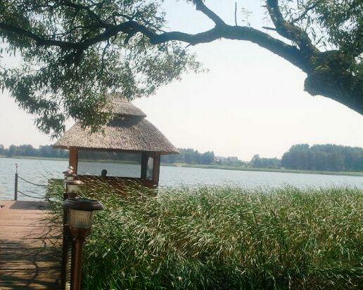 Domy z bali, sauny ogrodowe, zadaszenia tarasów.