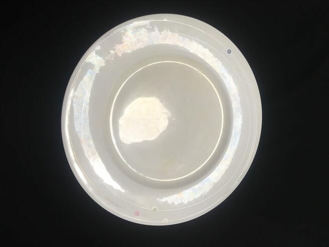 Stary duży talerz patera Gerlach