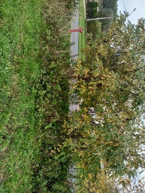 Działka budowlana 1250m 2