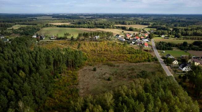 Działka leśna w miejscowości Błędnica, 9,7 ha