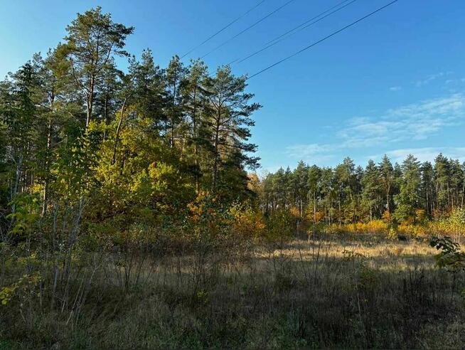Działka leśna w miejscowości Błędnica, 9,7 ha