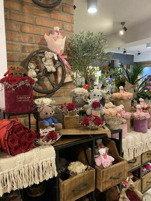 Zielona Fabryka - Świat zawsze świeżych kwiatów