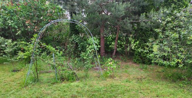 Ogródek działkowy pow. 425 mkw przy ul. Osmańczyka ROD LOTNI