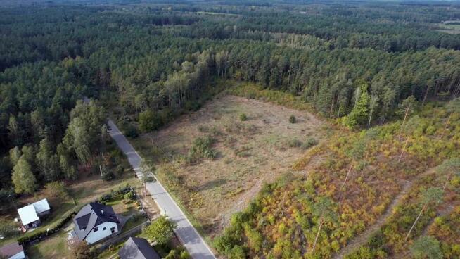 Działka leśna w miejscowości Błędnica, 9,7 ha
