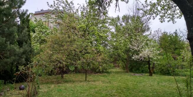 Ogródek działkowy pow. 425 mkw przy ul. Osmańczyka ROD LOTNI