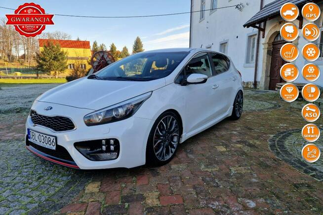 Kia Cee'd 1.6T-GDI 204KM z DE Bezwypadkowy Kamera 19" Gwarancja