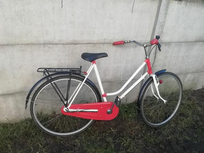 Rower damka holanderska