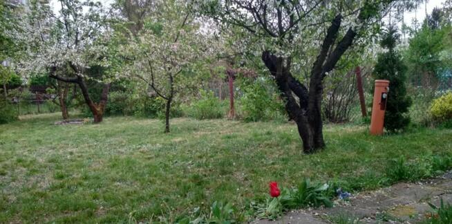 Ogródek działkowy pow. 425 mkw przy ul. Osmańczyka ROD LOTNI