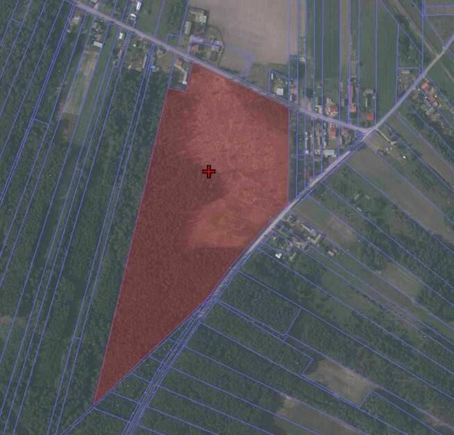 Działka leśna w miejscowości Błędnica, 9,7 ha