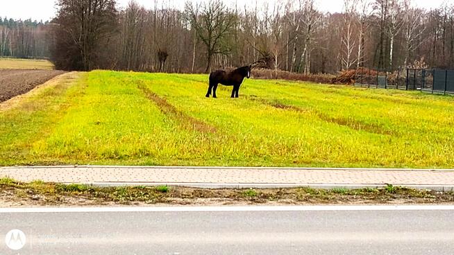 Działka 900m Miąse Tłuszcz droga wojewódzka media