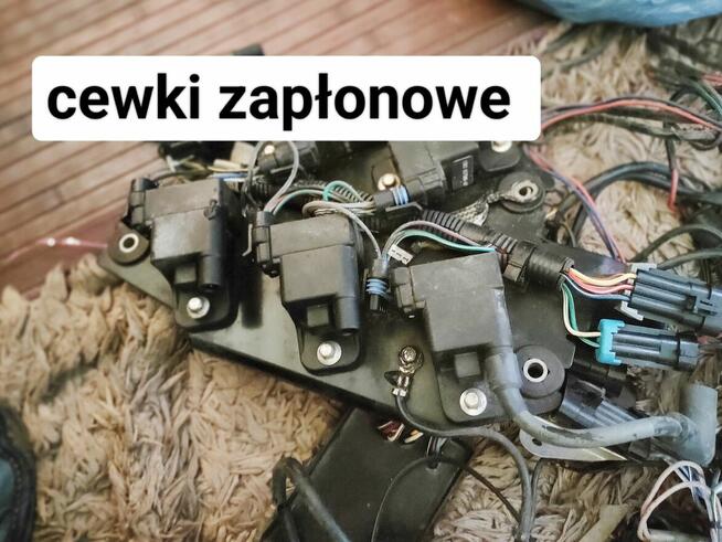 Cewki zapłonowe Mercury silnika zaburtowego