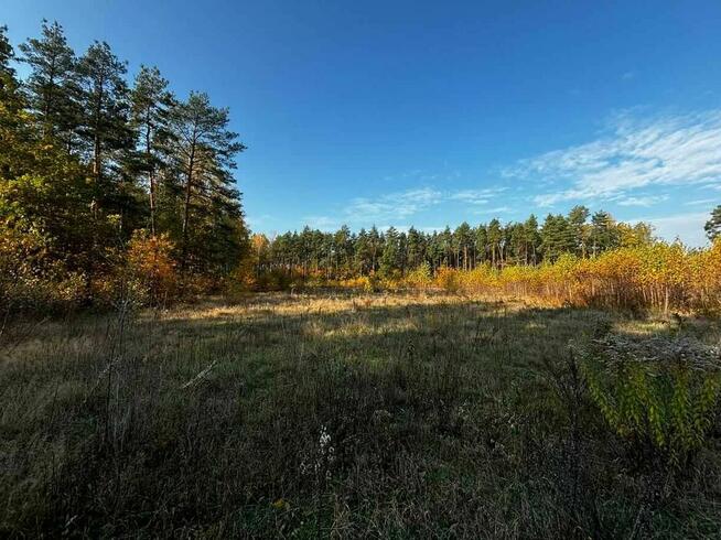 Działka leśna w miejscowości Błędnica, 9,7 ha