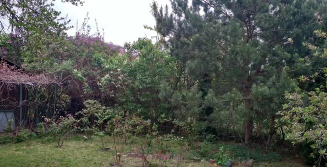 Ogródek działkowy pow. 425 mkw przy ul. Osmańczyka ROD LOTNI