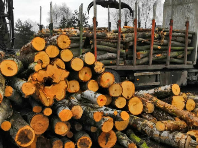 Drewno Kominkowe – Szybka Dostawa, Najlepsza Jakość