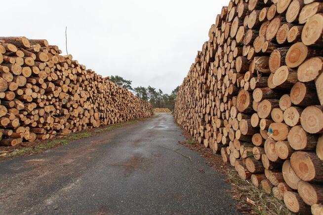 Kominkowe Drewno – Szybka Dostawa