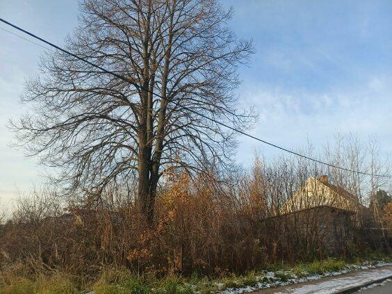 Działka budowalana Zgórsko bez pośredników