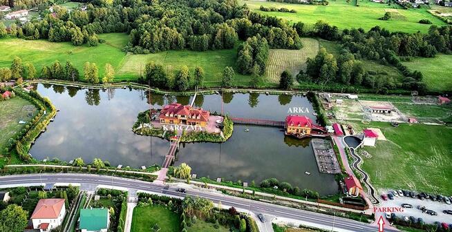 Karp, żywe lub po uboju, c. 27 zł/kg, samo zdrowie