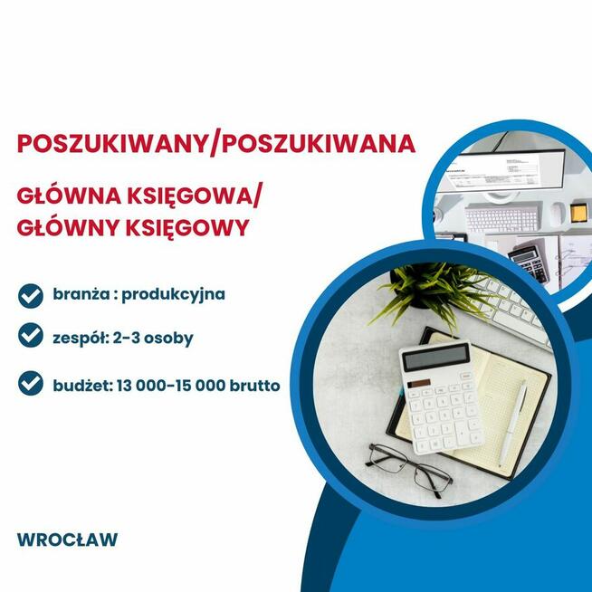 Poszukiwany/a Główny Księgowy/Księgowa