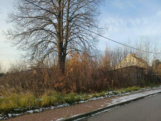 Działka budowalana Zgórsko bez pośredników