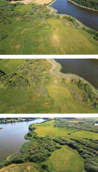 Udział 1/2 w nieruchomości niezabudowanej 1,2700ha