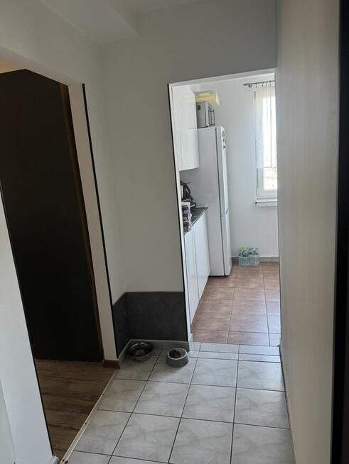 Zamienię mieszkanie komunalne na większe