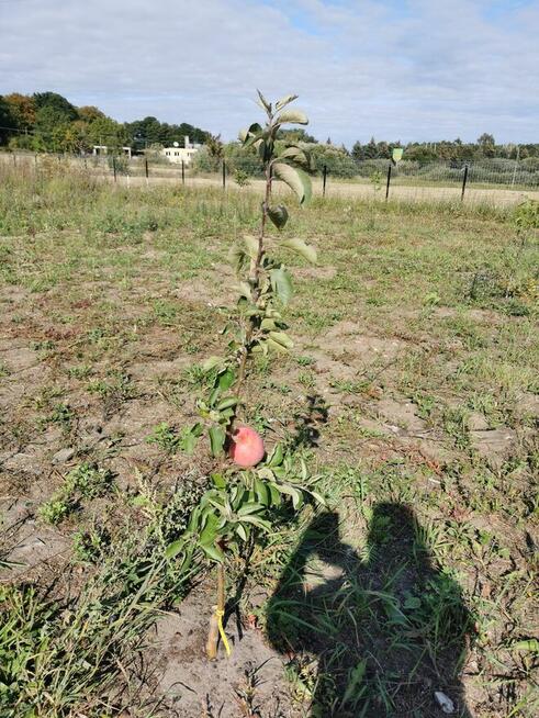 Ogrodzona budowlana Karwice 2003 m² morze PKP