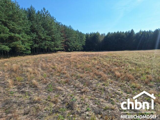 Zamieszkaj w samym sercu lasu!!