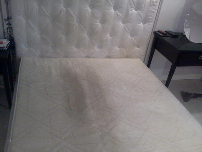 Czyszczenie dywanów i tapicerek mebli Zielona Góra