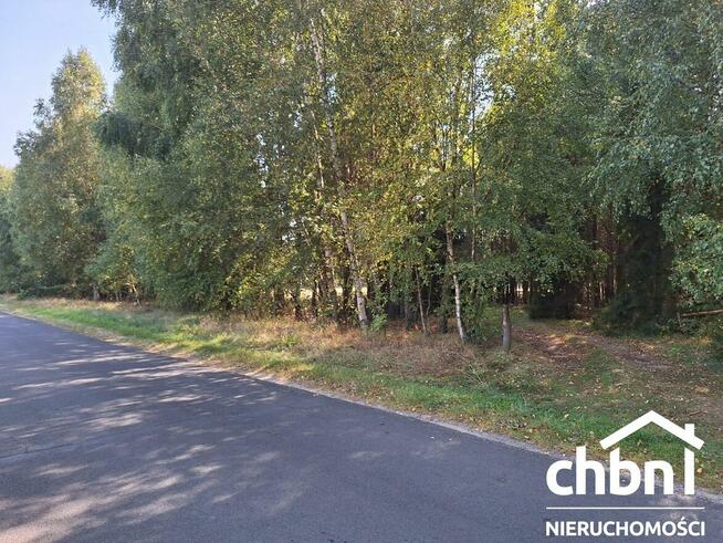 Zamieszkaj w samym sercu lasu!!