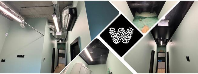 Malowanie Ścian Warszawa - Twój Klucz do Pięknych Wnętrz!