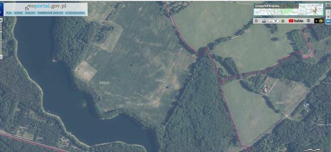 Dz.1.2395ha,Żelisławie,gmCzaplinek,J.Kaleńskie,las