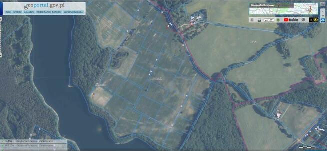 Dz.1.2395ha,Żelisławie,gmCzaplinek,J.Kaleńskie,las