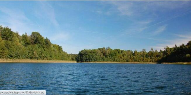 Dz.1.3409ha,Żelisławie,gmCzaplinek,J.Kaleńskie,las