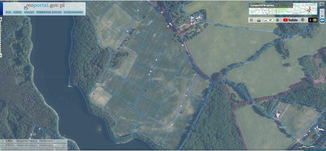 Dz.1.5712ha,Żelisławie,gmCzaplinek,J.Kaleńskie,las