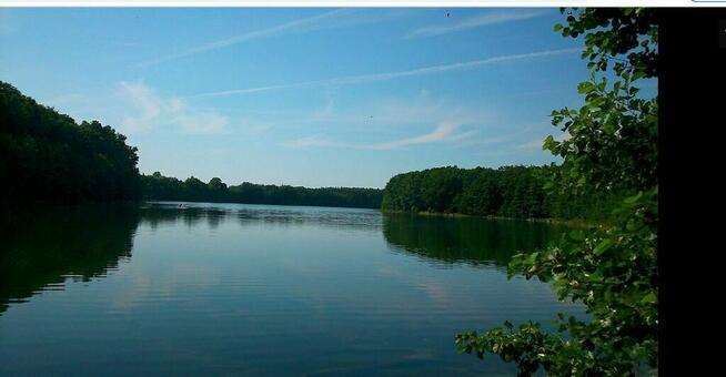 Dz.0.3393ha,Żelisławie,gmCzaplinek,J.Kaleńskie,las