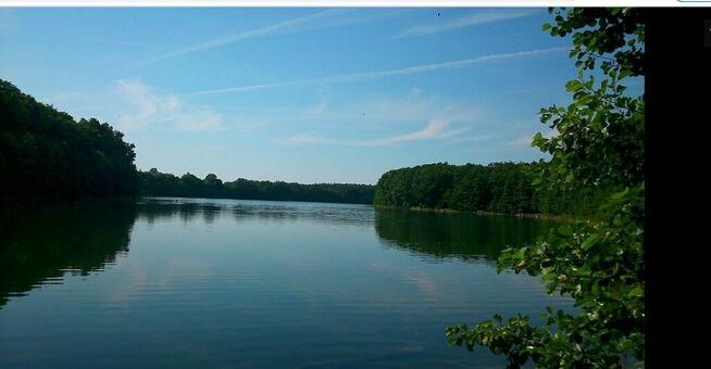 Dz.0.3393ha,Żelisławie,gmCzaplinek,J.Kaleńskie,las