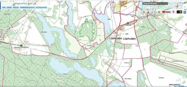 Dz.0.3393ha,Żelisławie,gmCzaplinek,J.Kaleńskie,las