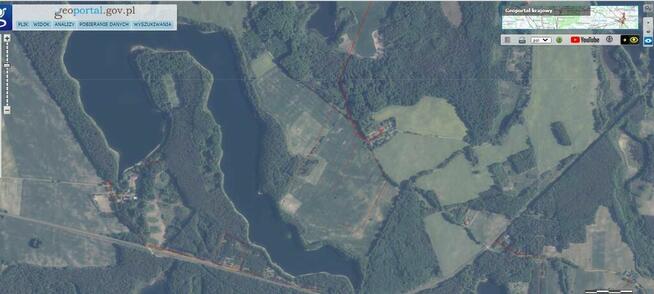 Dz.0.3393ha,Żelisławie,gmCzaplinek,J.Kaleńskie,las