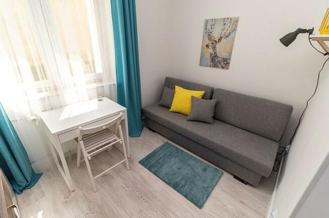 Narutowicza 56 C, studio w centrum, pet-friendly