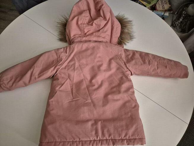 Kurteczka firmy newbie