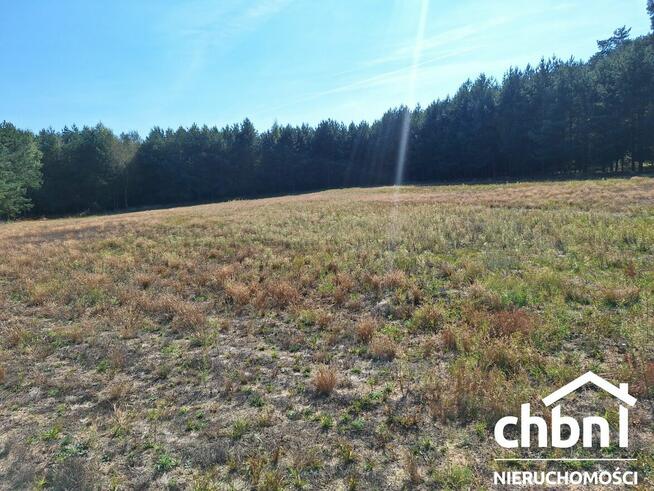 Zamieszkaj w samym sercu lasu!!