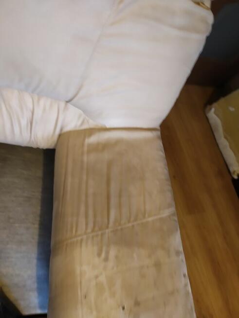 Czyszczenie dywanów i tapicerek mebli Zielona Góra