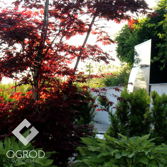 Projektowanie ogrodów Bielsko-Biała