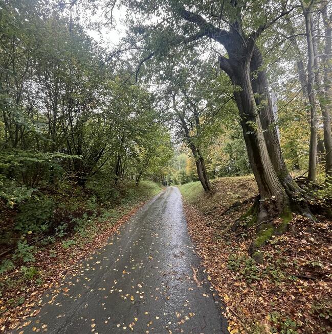 Działka budowlana 4 km od Kłodzka - 8 ar