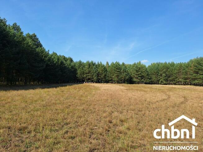 Zamieszkaj w samym sercu lasu!!