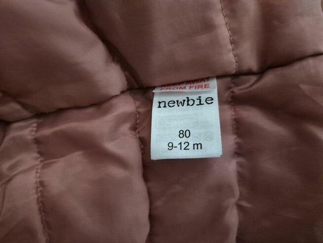 Kurteczka firmy newbie