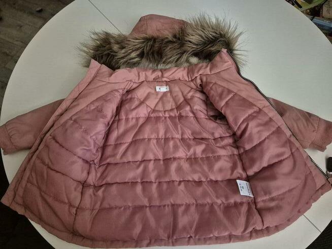 Kurteczka firmy newbie